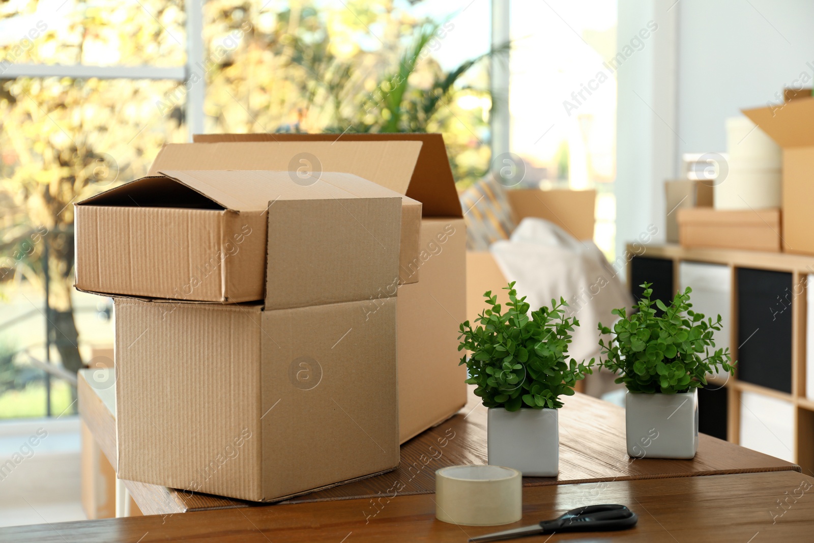 Photo of Cardboard boxes and potted plants on wooden table. Moving day