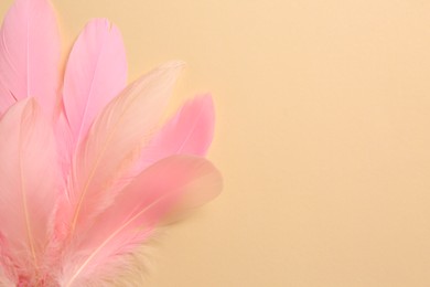 Photo of Beautiful pink feathers on beige background, top view. Space for text