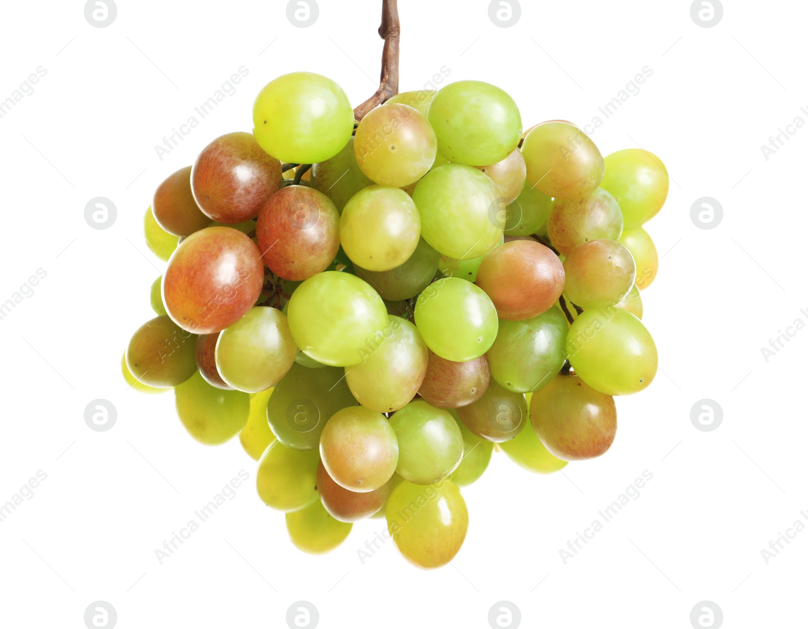 Photo of Bunch of fresh ripe juicy grapes on white background