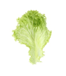 Photo of Leaf of fresh lettuce on white background. Salad greens