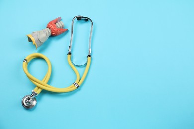 Photo of Endocrinology. Stethoscope and model of thyroid gland on light blue background, top view. Space for text