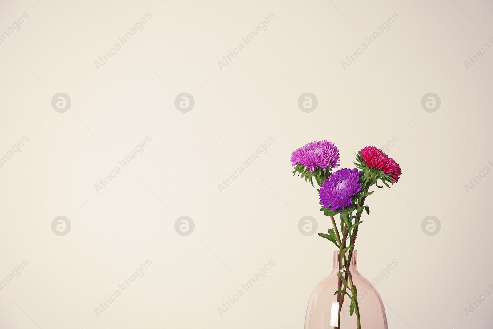 Photo of Beautiful flowers in vase and space for text on light background. Element of interior design