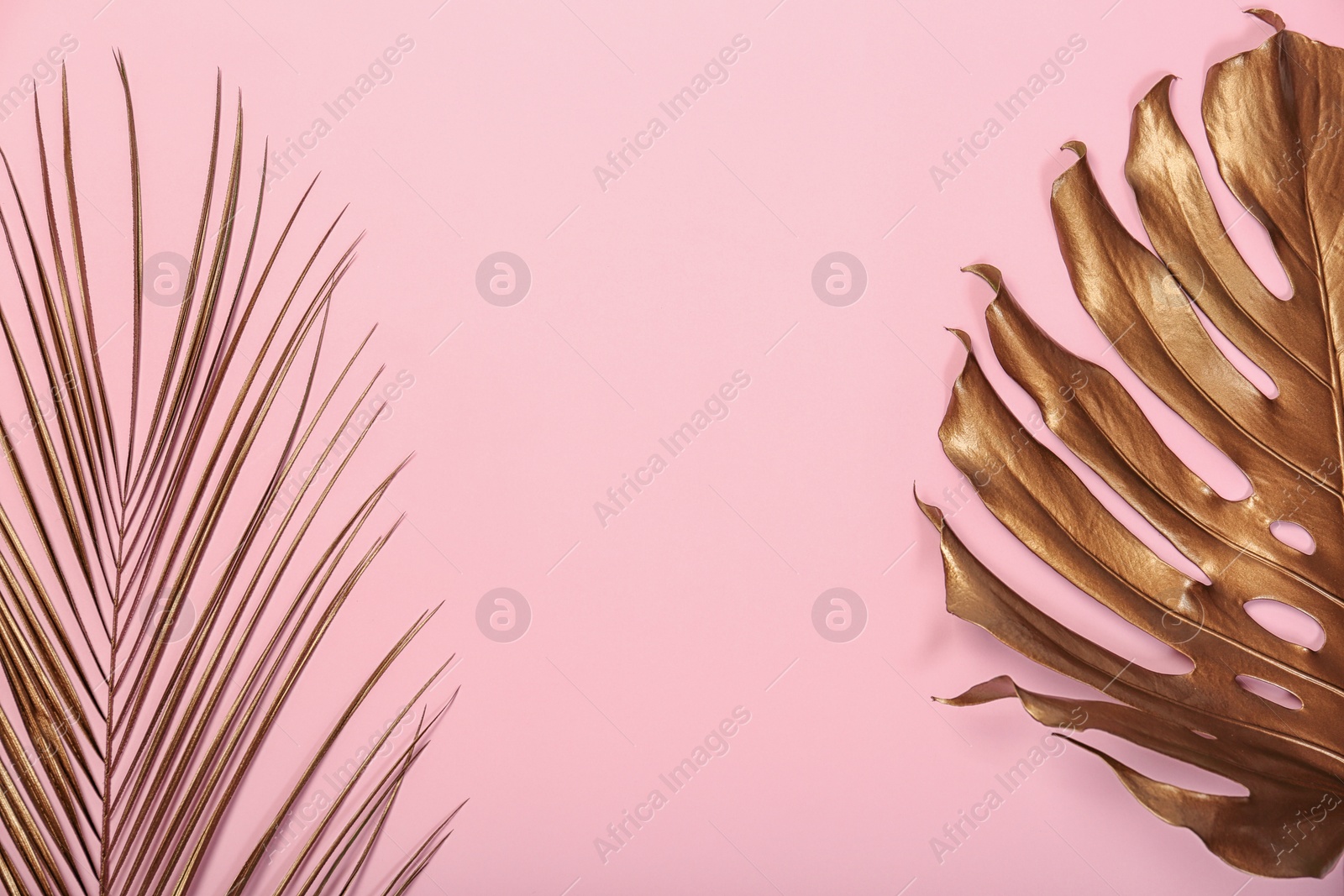 Photo of Painted Monstera and Date palm tropical leaves with space for text on color background, top view