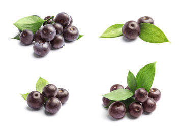Set of fresh acai berries on white background