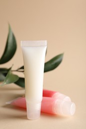 Different lip balms and branch on beige background, closeup