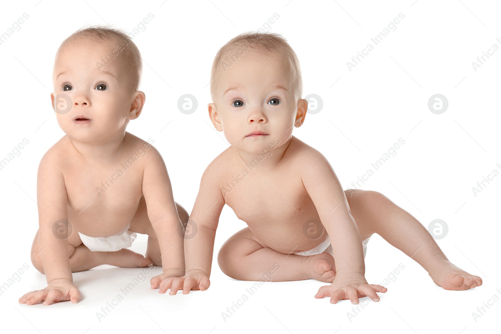 Image of Portrait of cute twin babies on white background