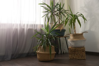 Photo of Beautiful houseplants near window indoors. Interior design. Space for text