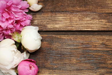 Photo of Beautiful peonies on wooden background, flat lay. Space for text