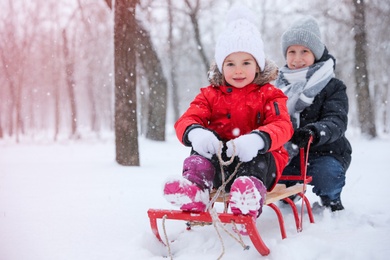 Photo of Children enjoying sleigh ride outdoors on winter day