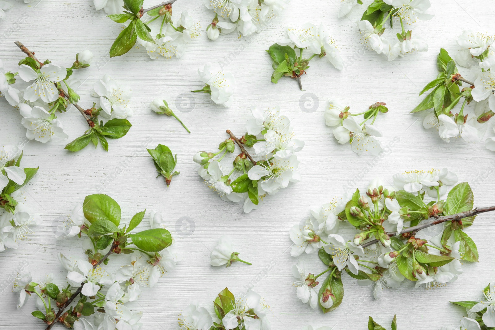 Photo of Flat lay composition of beautiful fresh spring flowers on wooden background