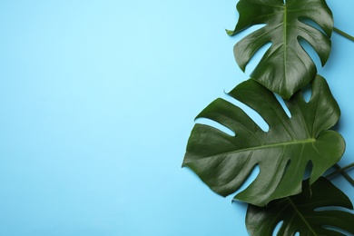 Photo of Flat lay composition with tropical monstera leaves and space for text on color background