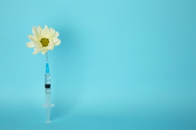 Photo of Medical syringe and beautiful chrysanthemum flower on light blue background, space for text
