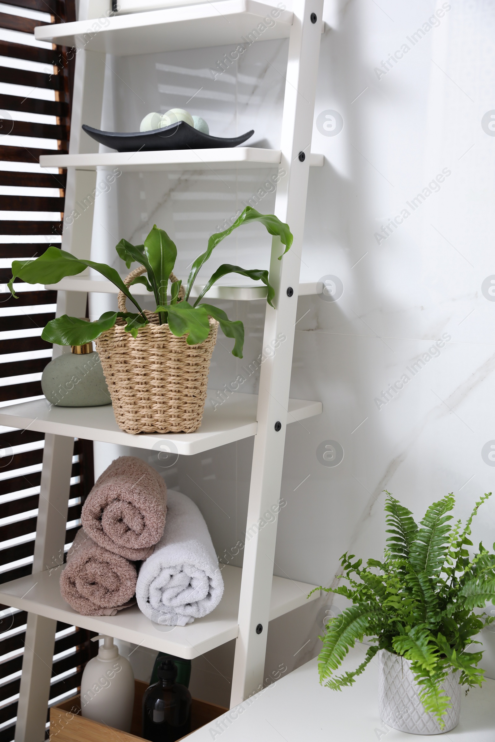 Photo of Beautiful green ferns, towels and toiletries in bathroom