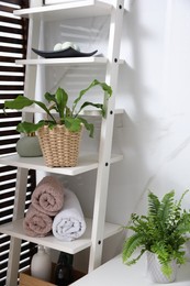 Beautiful green ferns, towels and toiletries in bathroom