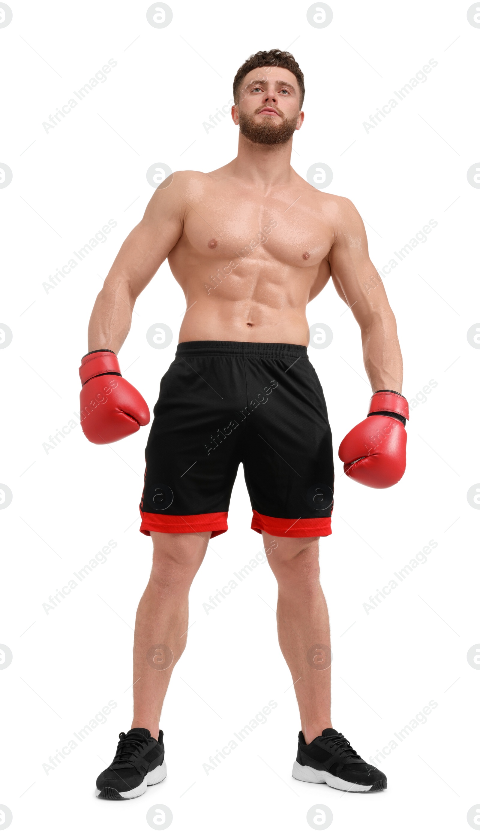 Photo of Man in boxing gloves on white background, low angle view