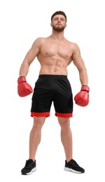 Photo of Man in boxing gloves on white background, low angle view
