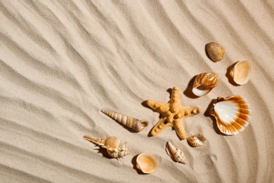 Photo of Starfish and seashells on beach sand, top view. Space for text