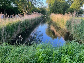 Photo of Picturesque view of canal between trees and grass