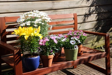 Many different beautiful blooming plants in flowerpots on wooden bench outdoors