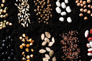 Photo of Different vegetable seeds on fertile soil, flat lay