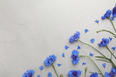 Beautiful blue cornflowers on light grey table, flat lay. Space for text