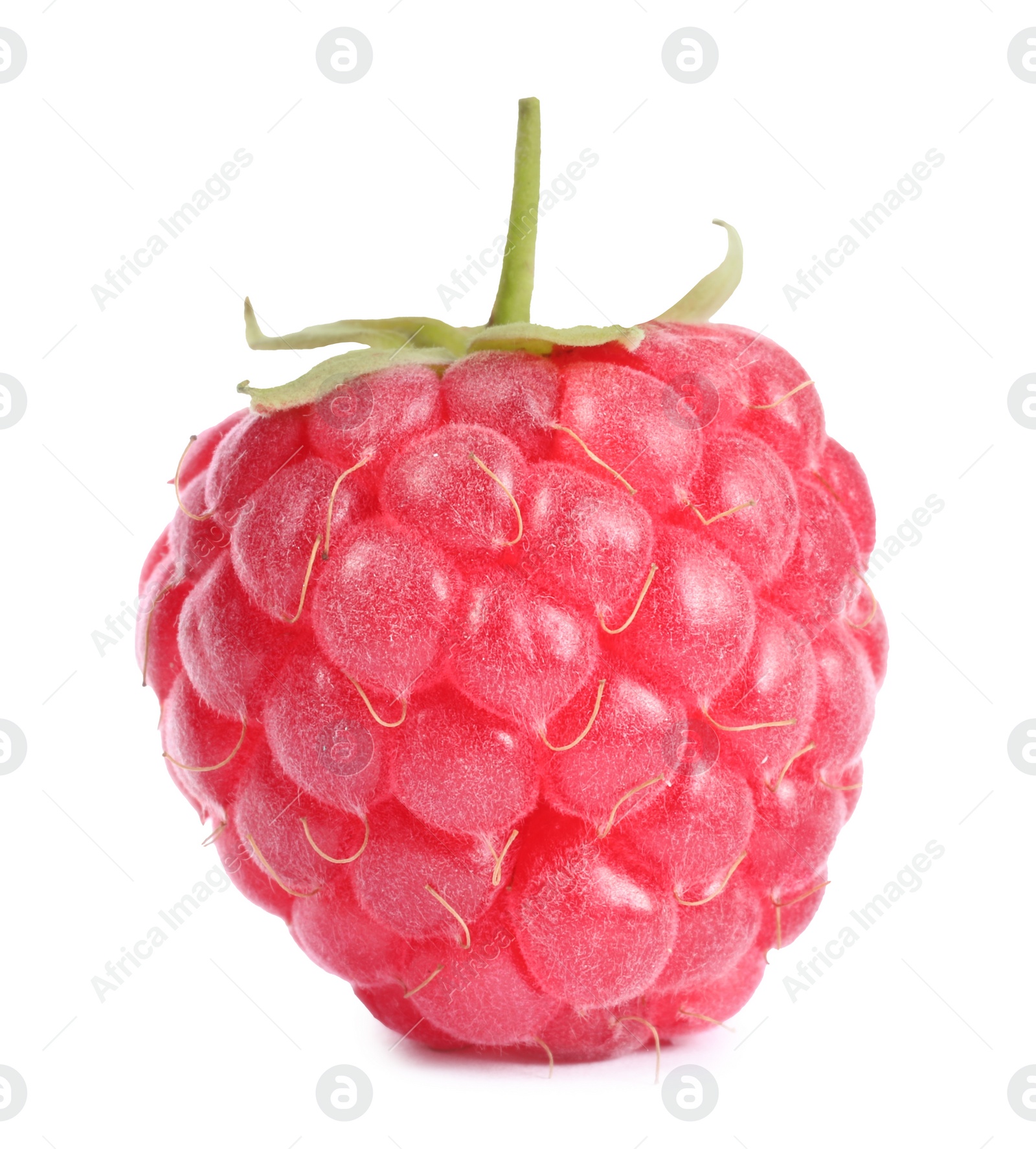 Photo of One tasty ripe raspberry isolated on white