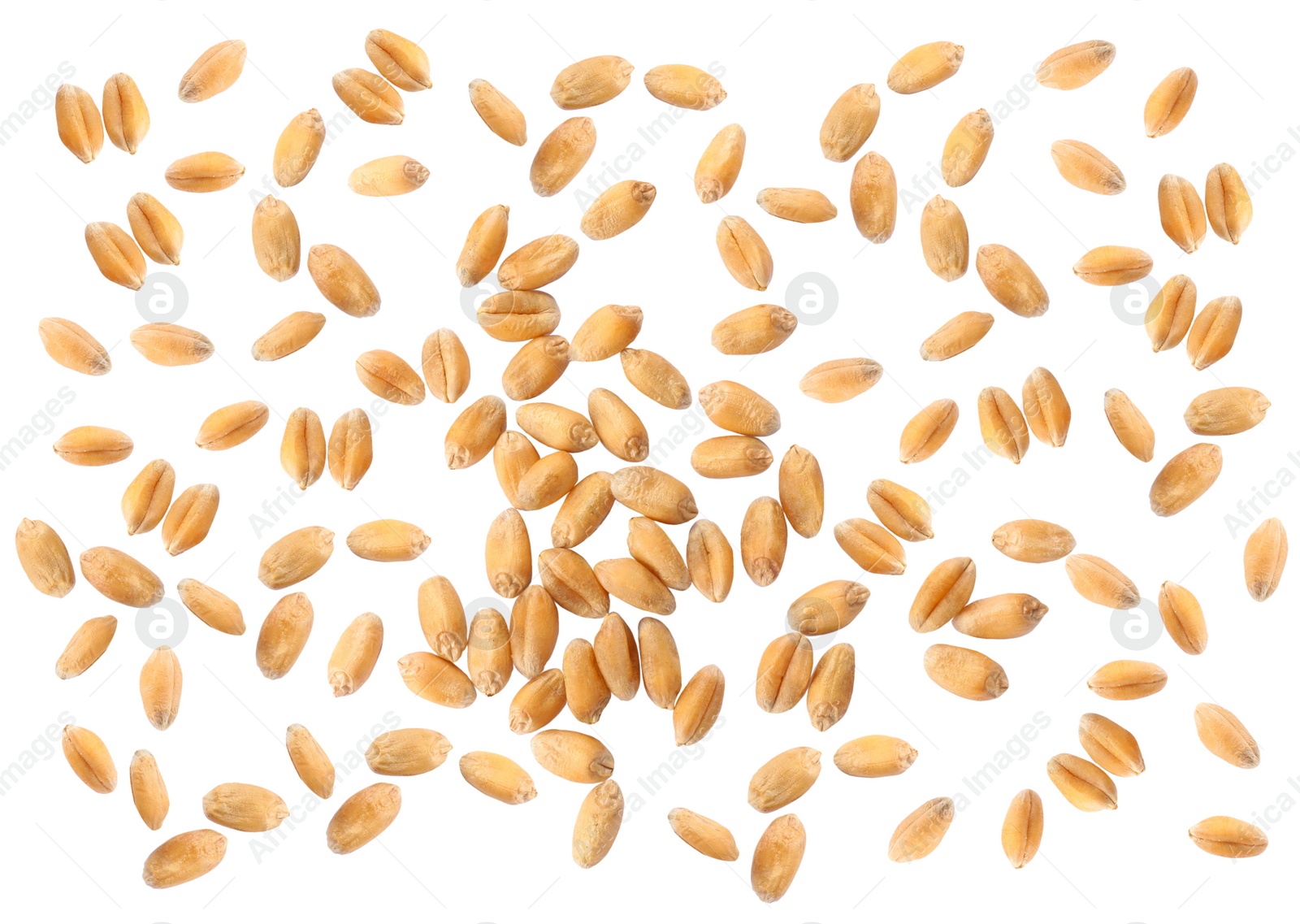 Image of Wheat grains on white background, top view