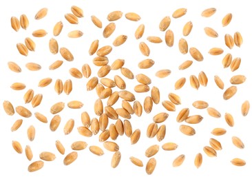 Wheat grains on white background, top view