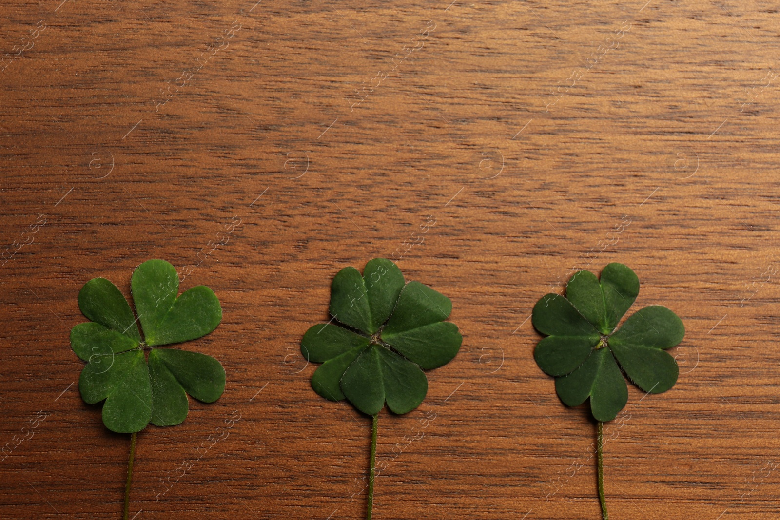 Photo of Green clover leaves on wooden background, flat lay. Space for text