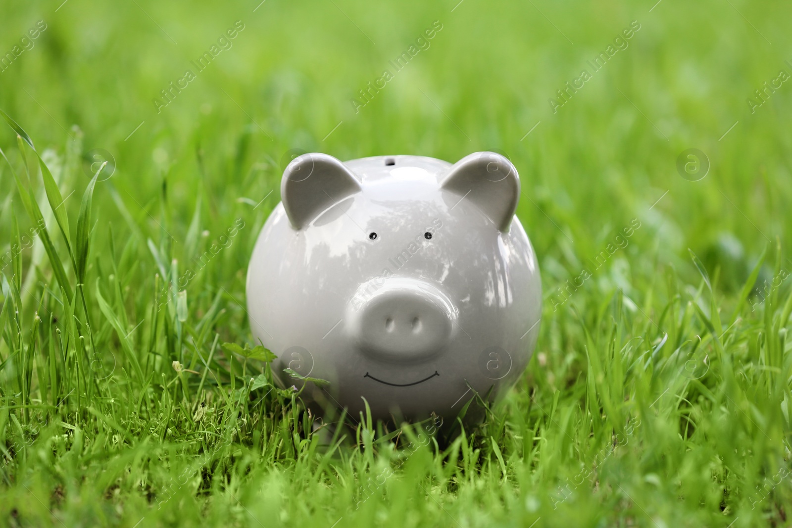 Photo of Cute piggy bank in green grass outdoors