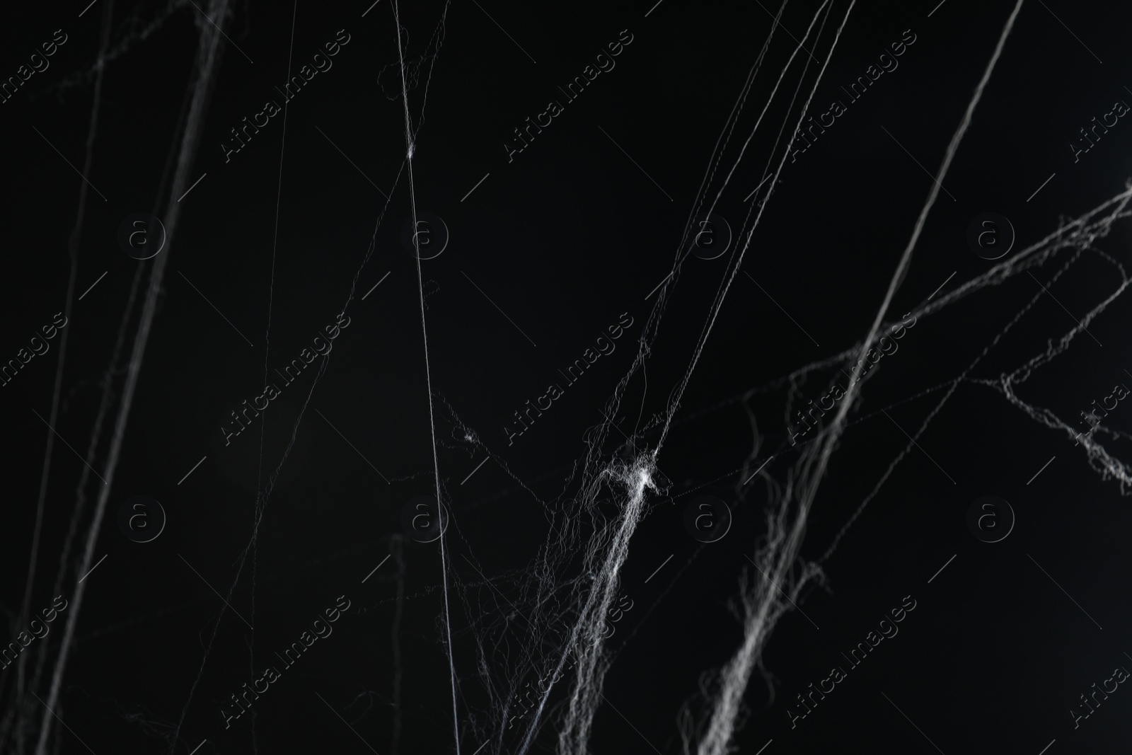 Photo of Creepy white cobweb on black background, closeup