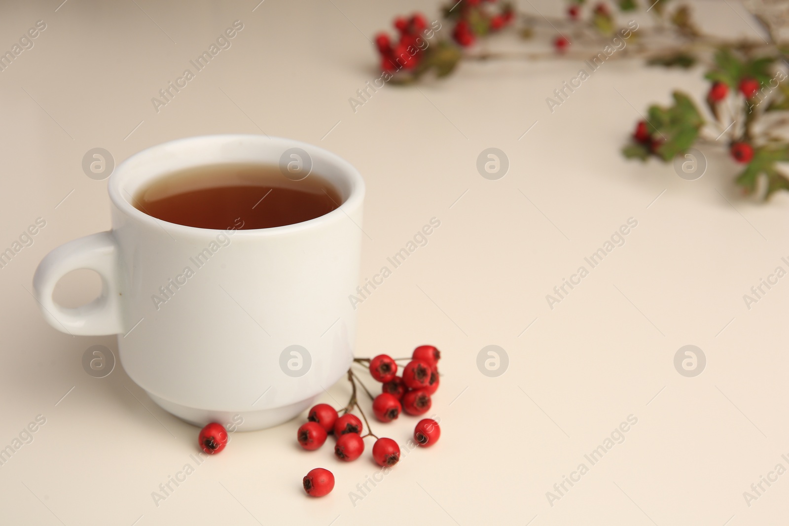 Photo of Aromatic hawthorn tea in cup and berries on beige table, closeup. Space for text