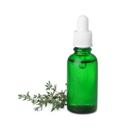 Bottle of thyme essential oil and fresh plant isolated on white