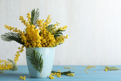 Beautiful mimosa flowers on light blue wooden table, space for text