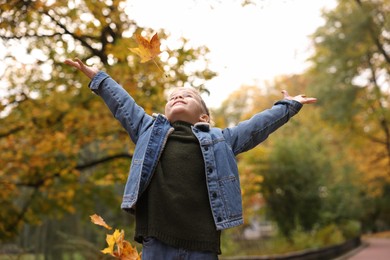Photo of Cute little boy playing with dry leaves in autumn park