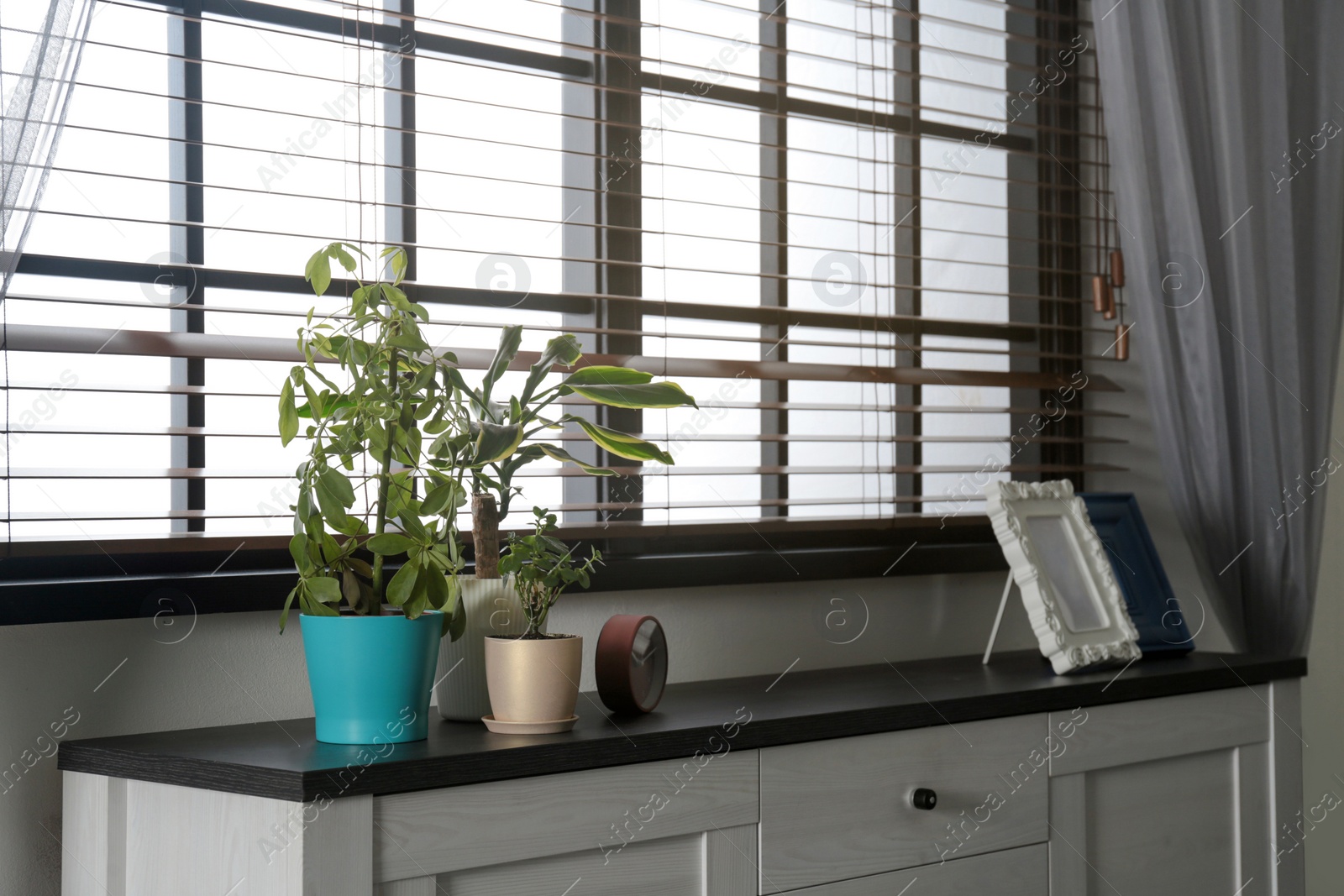 Photo of Modern cabinet with potted plants, photo frames and clock near window in room interior