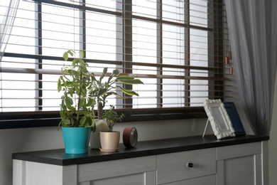 Modern cabinet with potted plants, photo frames and clock near window in room interior