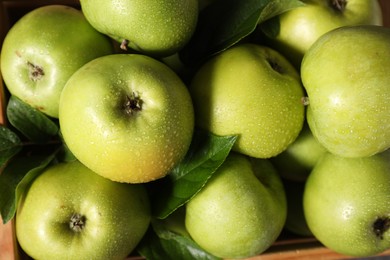 Photo of Ripe green apples with water drops in crate, top view