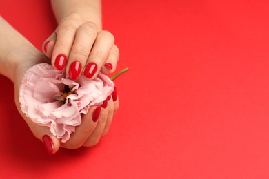 Woman with gel polish on nails touching flower on red background, closeup. Space for text