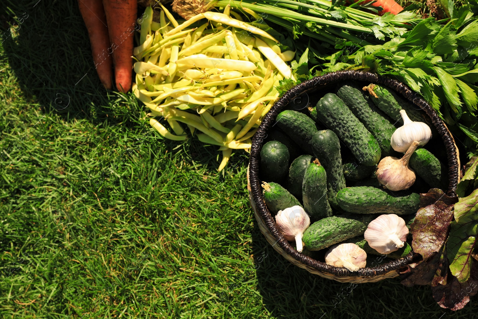 Photo of Different fresh ripe vegetables on green grass, flat lay. Space for text