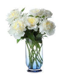 Photo of Beautiful blooming peonies in vase isolated on white