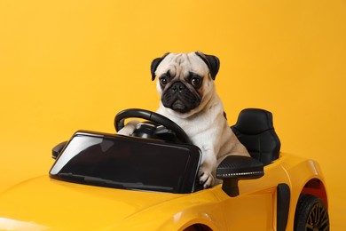 Photo of Adorable pug dog in toy car on yellow background