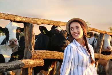 Photo of Young woman standing near cow pen on farm. Animal husbandry