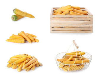 Image of Set of fresh yellow carrots on white background