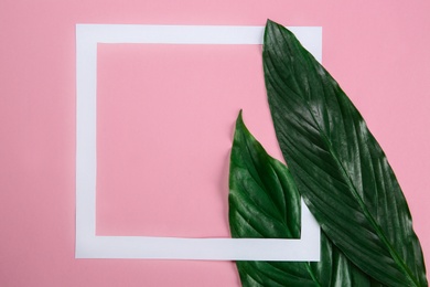 Flat lay composition with tropical leaves on color background