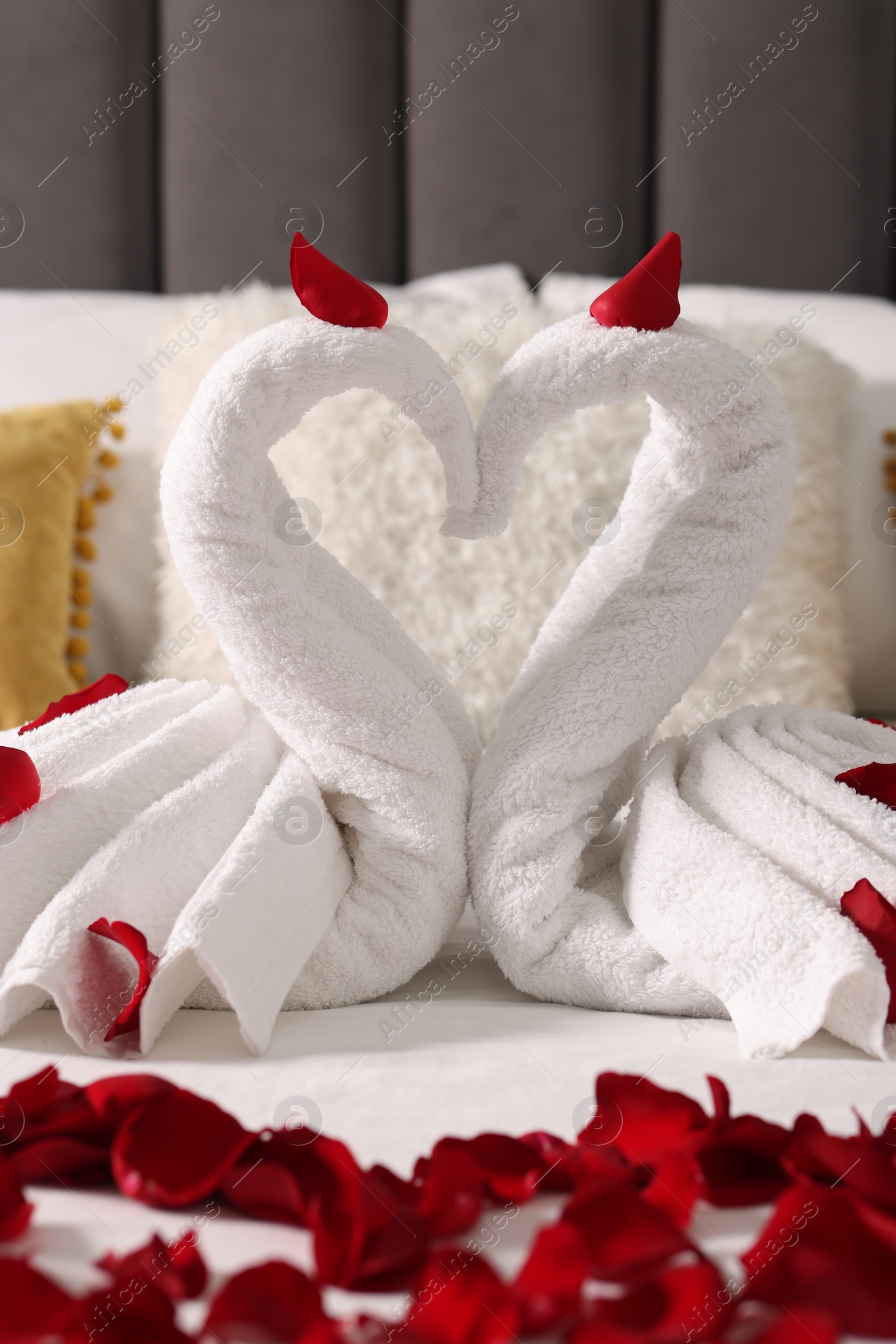 Photo of Honeymoon. Swans made with towels and beautiful rose petals on bed, closeup