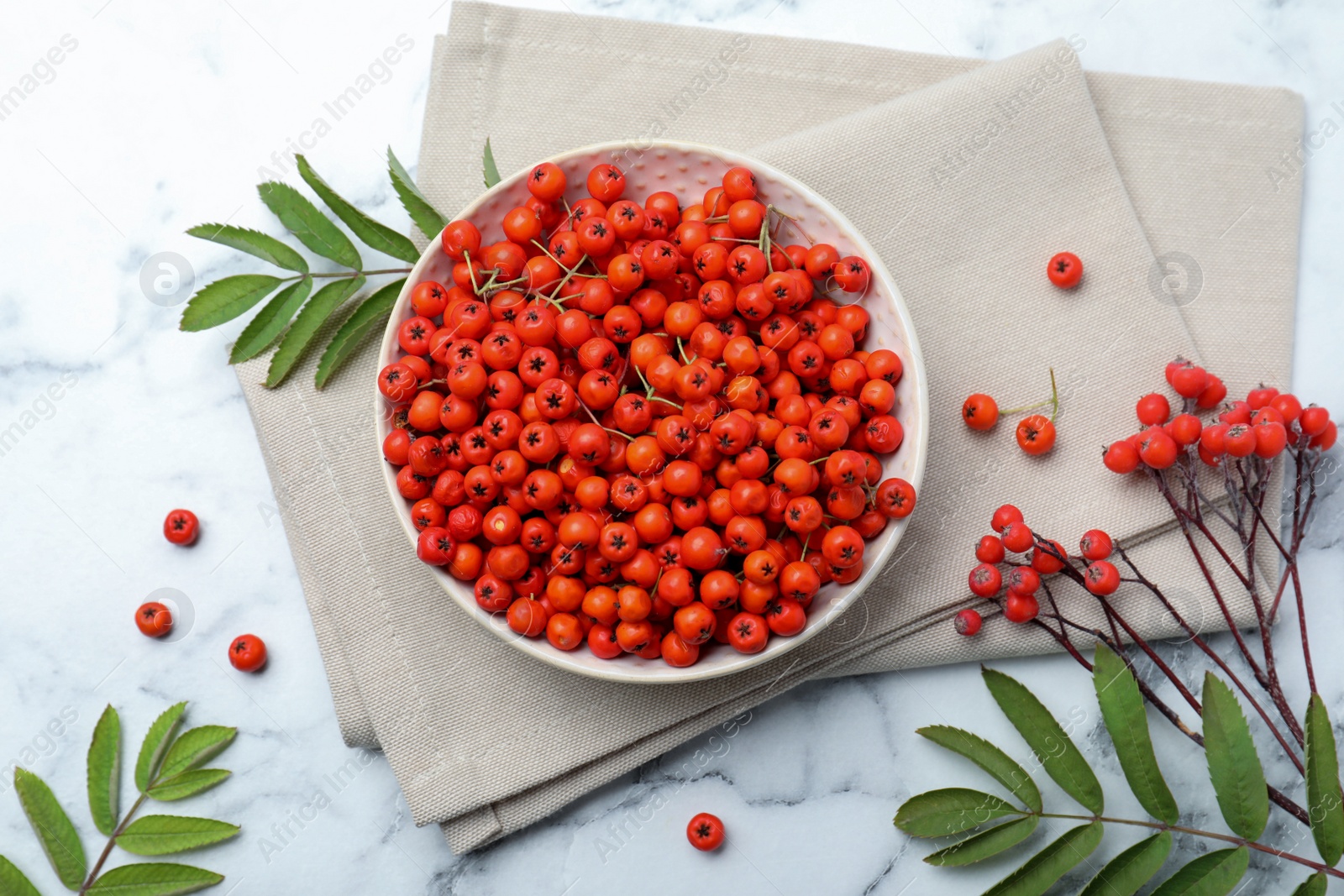 Photo of Fresh ripe rowan berries and leaves on white marble table, flat lay