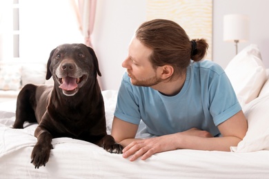 Photo of Adorable brown labrador retriever with owner on bed indoors