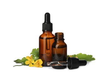 Photo of Bottles of essential oil, pipette and celandine on white background