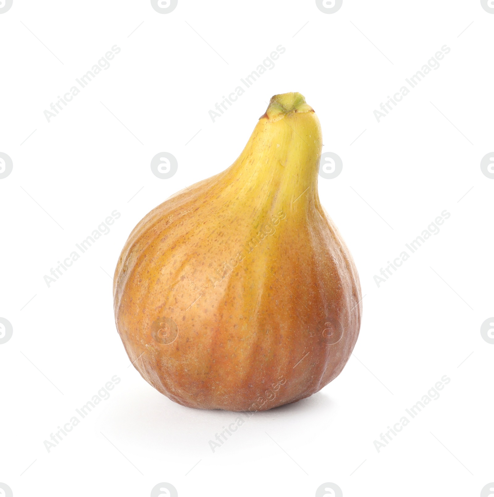 Photo of Whole tasty ripe fig isolated on white